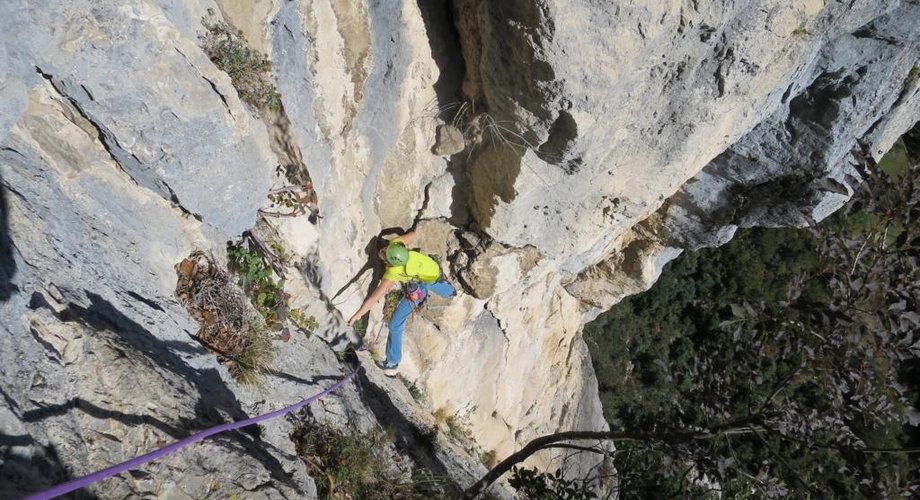 Нижняя часть