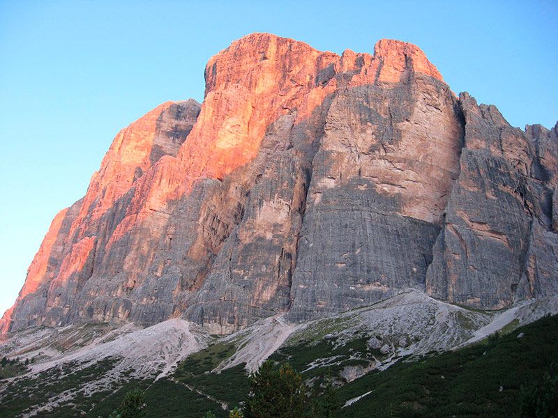 Тофанна ди Розес